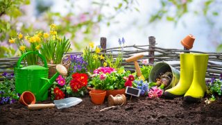 DIYで庭作りをしよう！簡単な花壇の作り方とは？